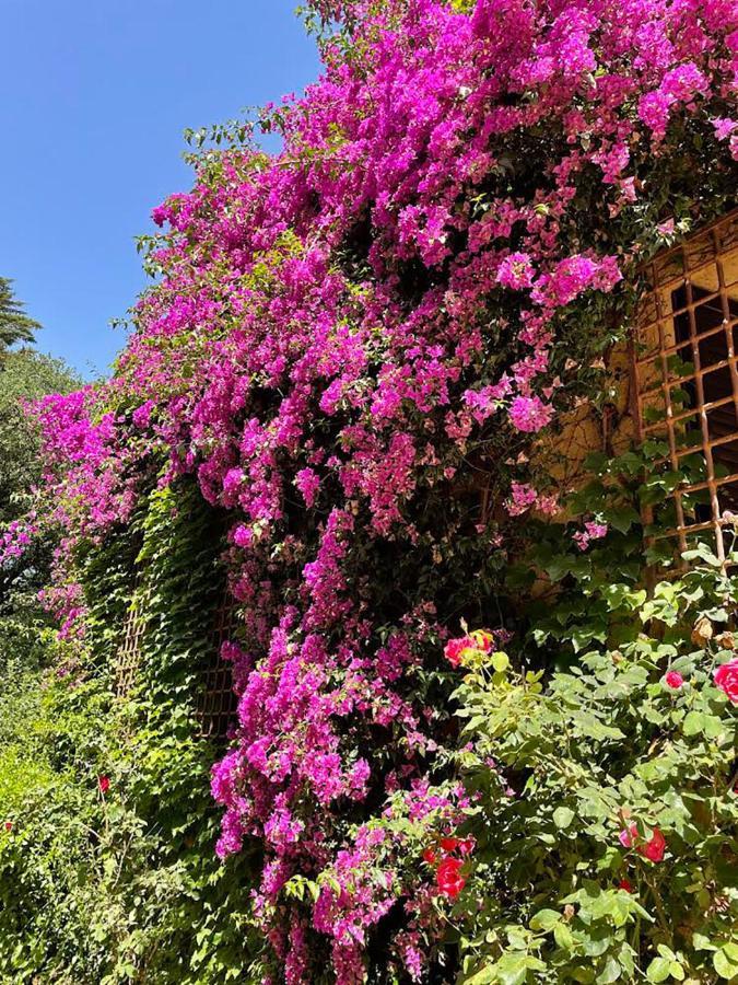 Can Codol De Fluvia - Casita Torroella de Fluviá Exteriér fotografie